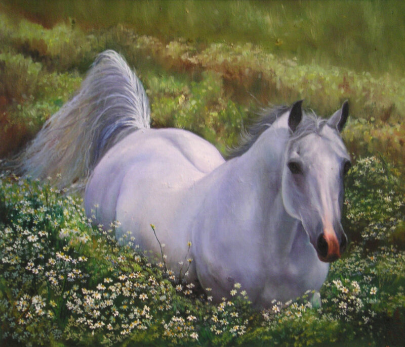 White horse in a field