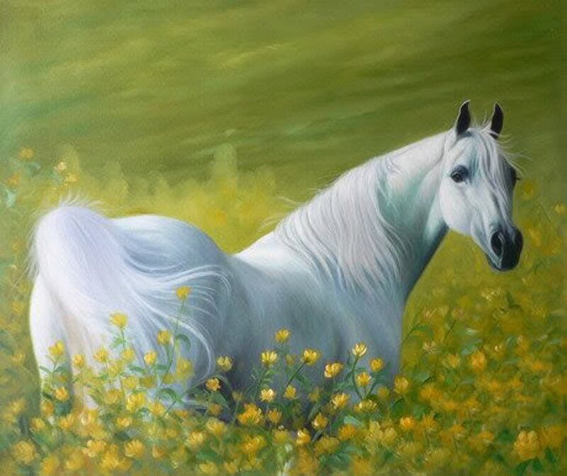 White horse in a field of flowers