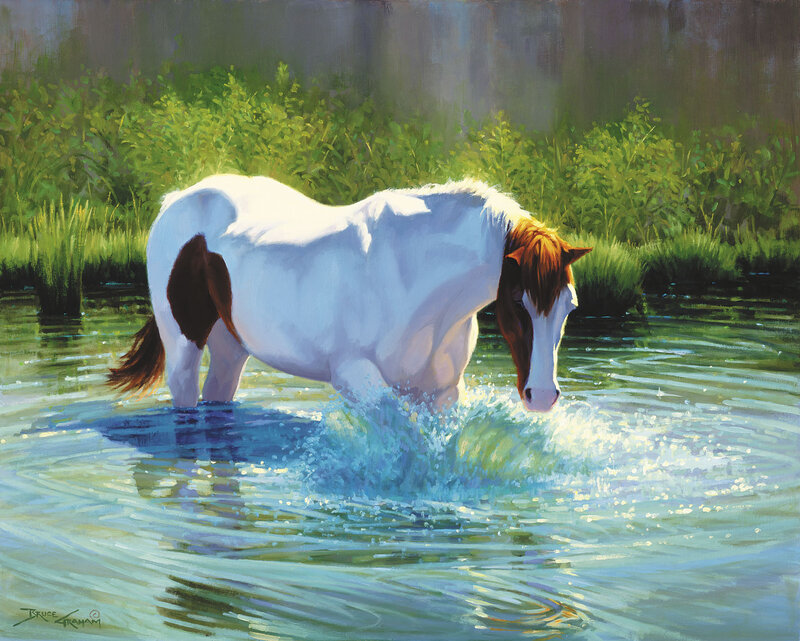 White horse in a stream