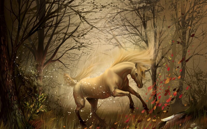 White horse in autumn forest