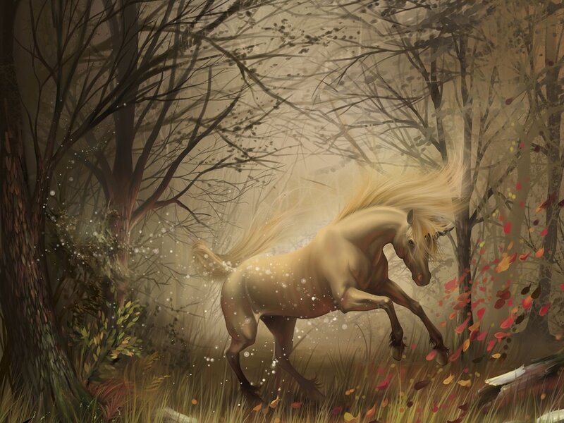 White horse in autumn forest