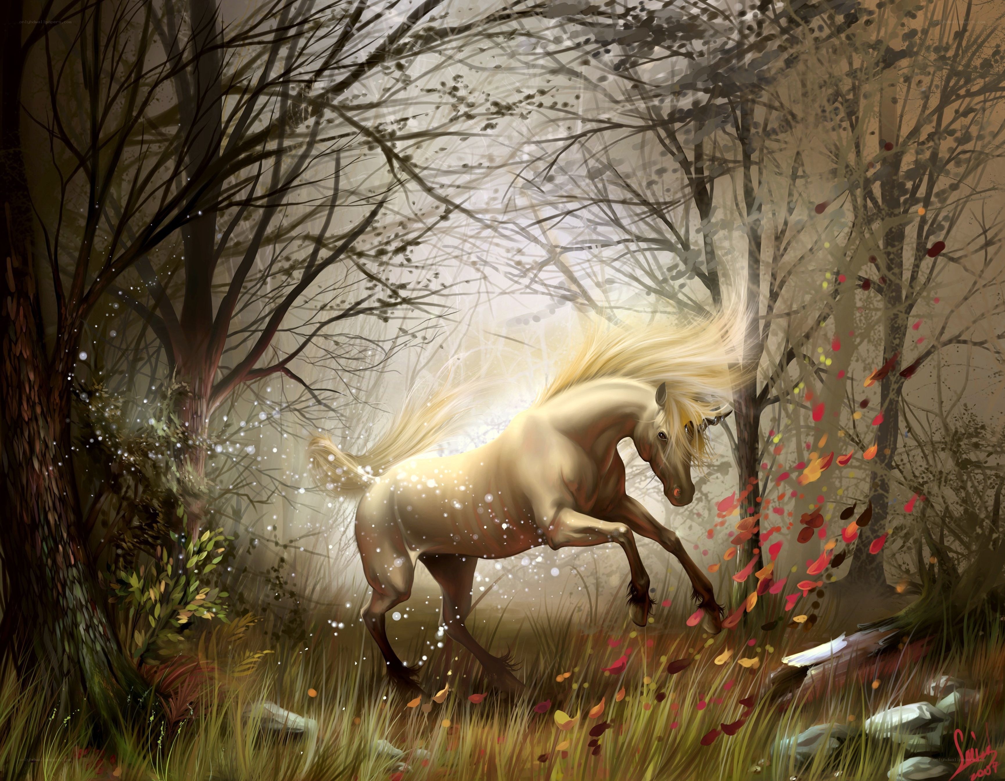 White horse in autumn forest