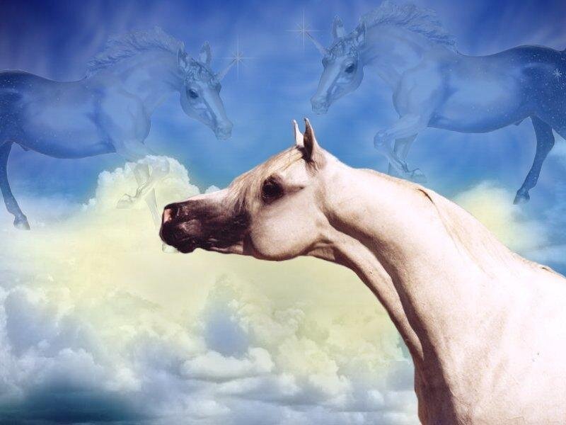 White Horse in Clouds — Blue