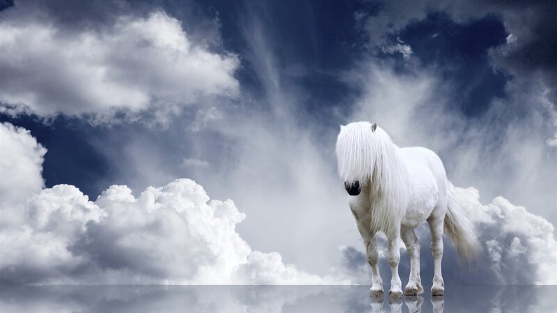 White Horse in Clouds — Dramatic, Digital Art, Sky