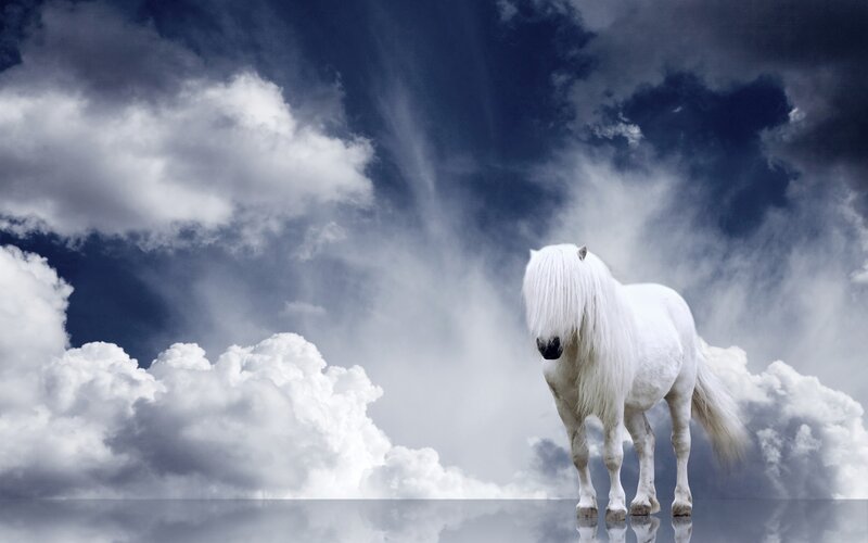 White Horse in Clouds — Dramatic, Digital Art