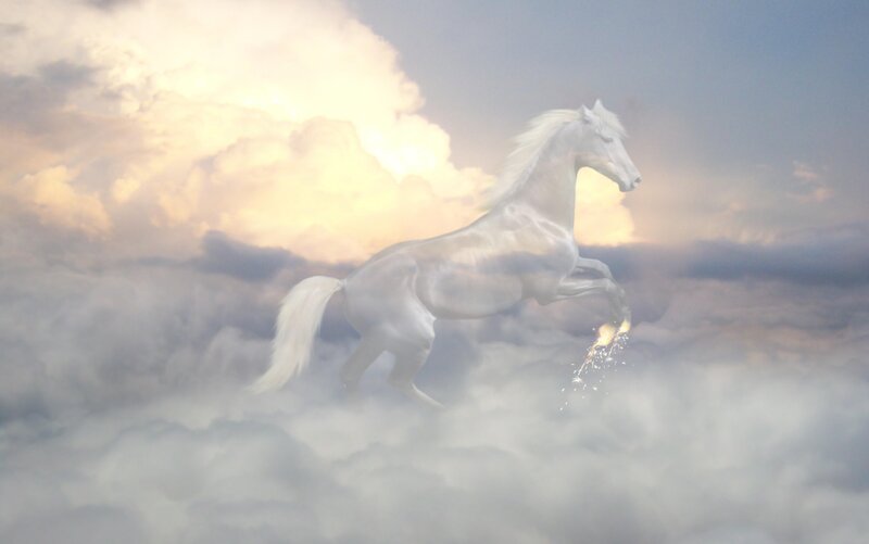 White Horse in Clouds — Dramatic, Sunrise