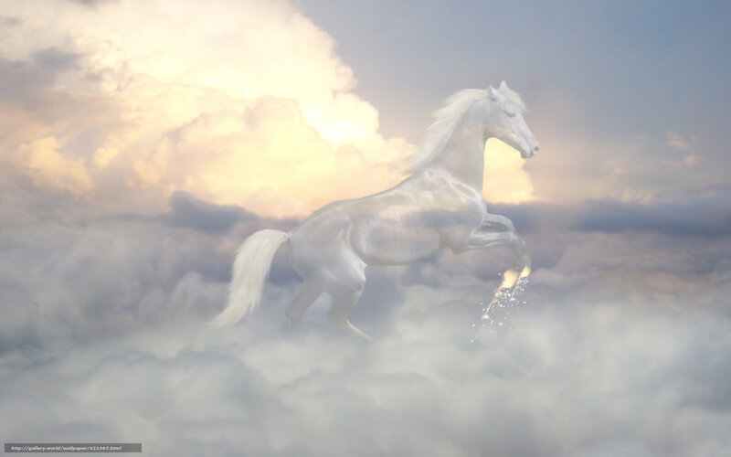 White Horse in Clouds — Dramatic, Sunset