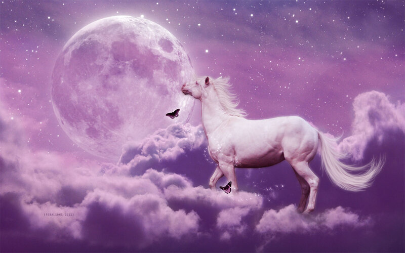 White Horse in Clouds — Purple, Serene