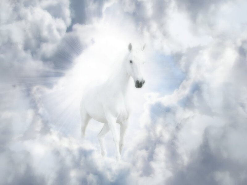 White Horse in Clouds — Serene, Digital Art