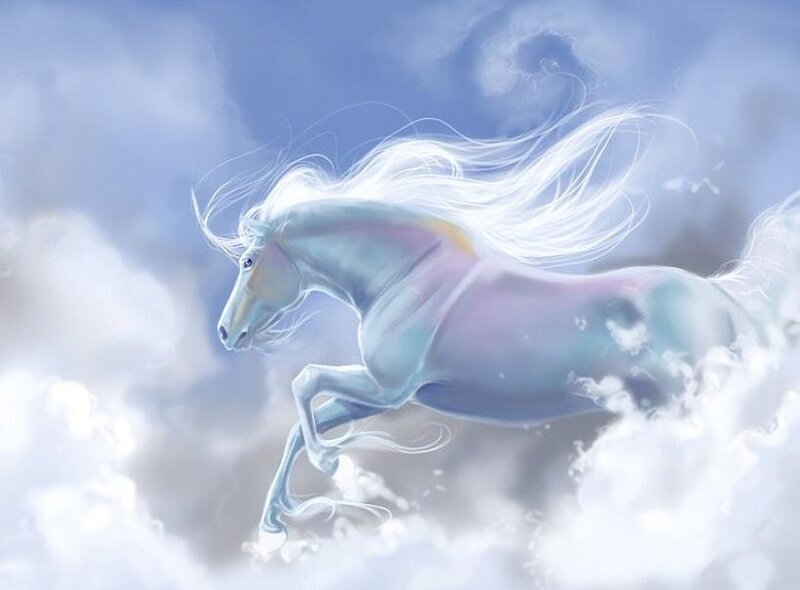 White Horse in Clouds — Serene