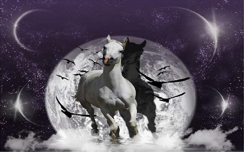 White horse in cosmic landscape