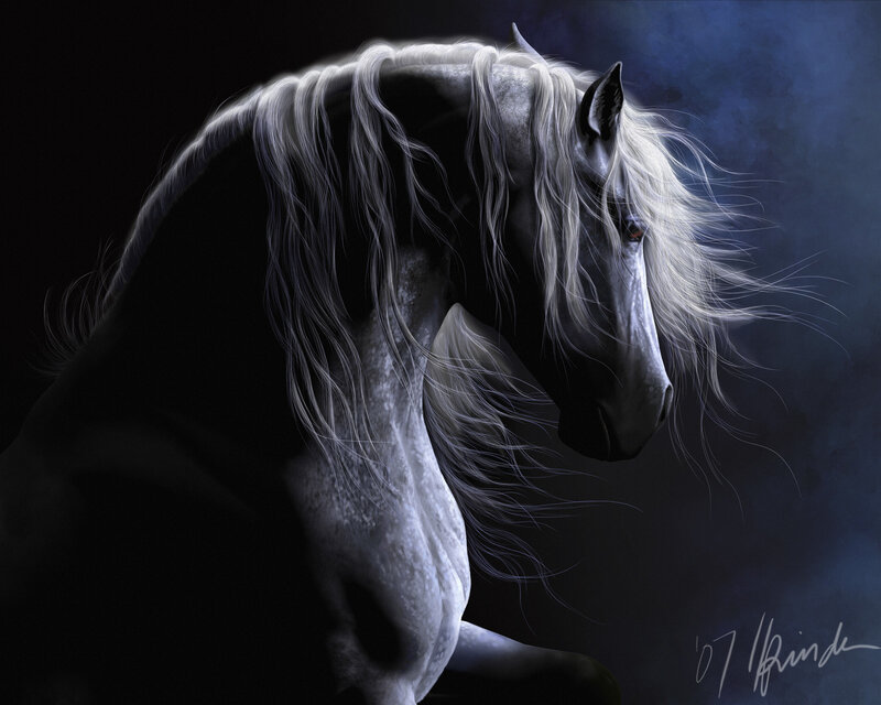 white horse in dark setting