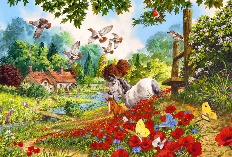 White Horse in Field — Red, Serene