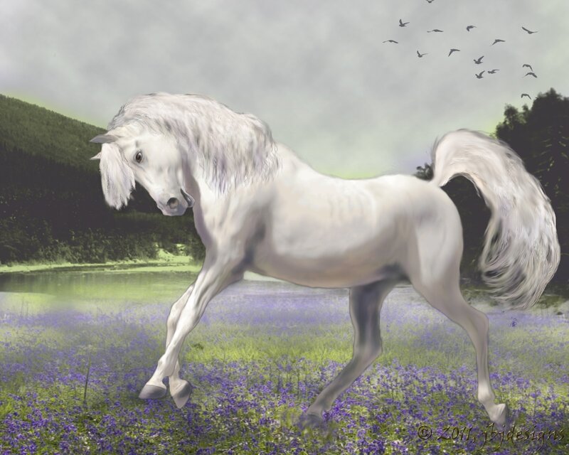 White Horse in Field — Serene, Afternoon