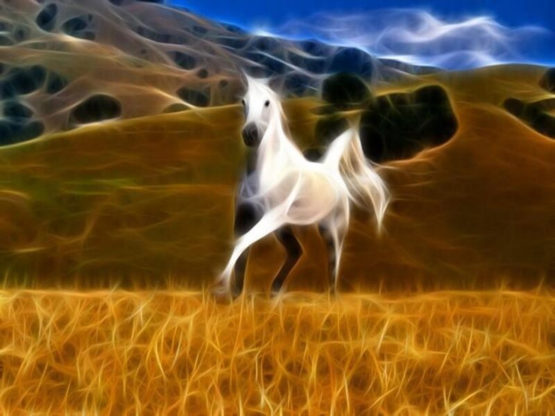 White Horse in Field — Yellow