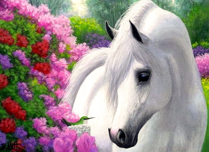 White Horse in Flowers — Serene