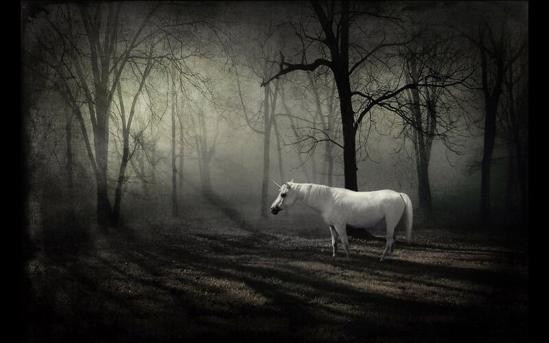 White Horse in Forest — Black, Mysterious