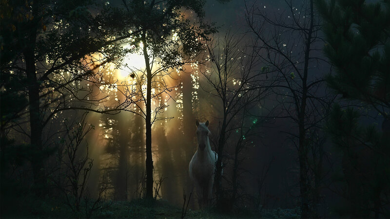 White Horse in Forest — Green, Dramatic