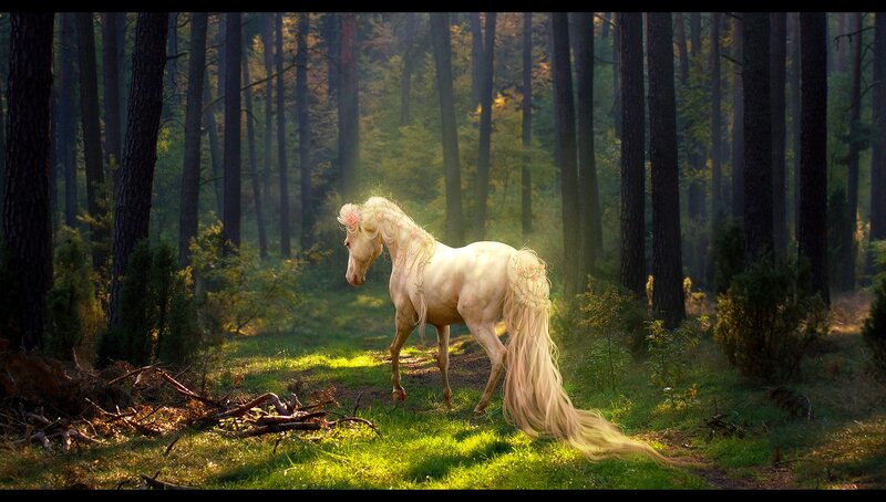 White Horse in Forest — Green, Serene, Morning, Digital Art