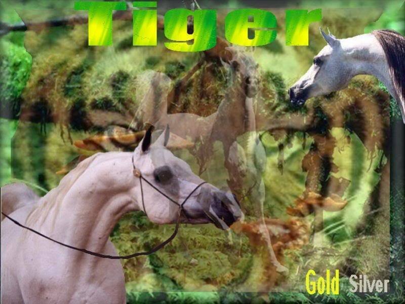 White Horse in Forest — Green