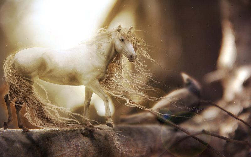 White Horse in Forest — Serene, Afternoon