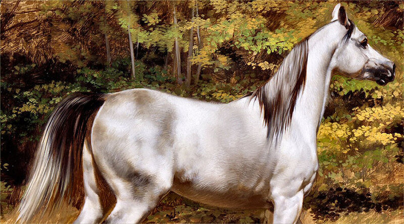 White Horse in Forest — Serene, Autumn