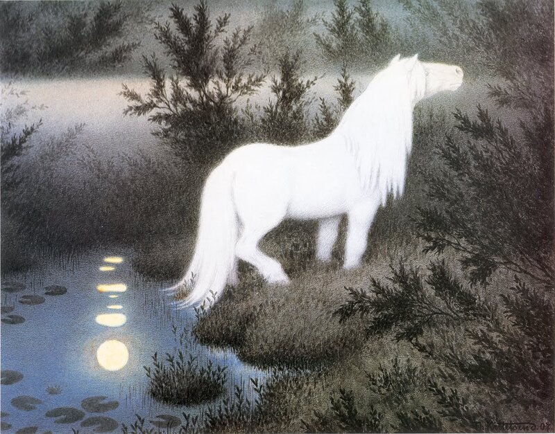 White Horse in Forest — Serene, Night