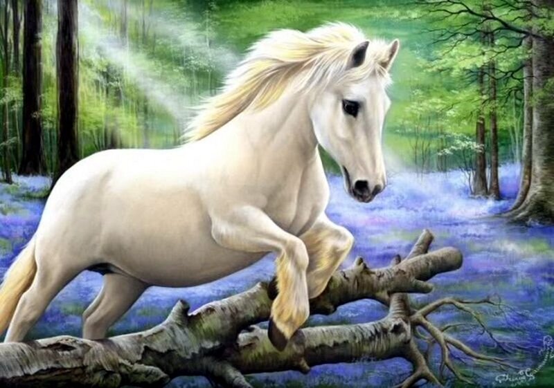White Horse in Forest — Serene, Spring