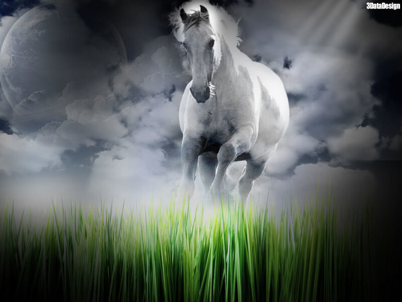 White Horse in Grass — Green, Dramatic