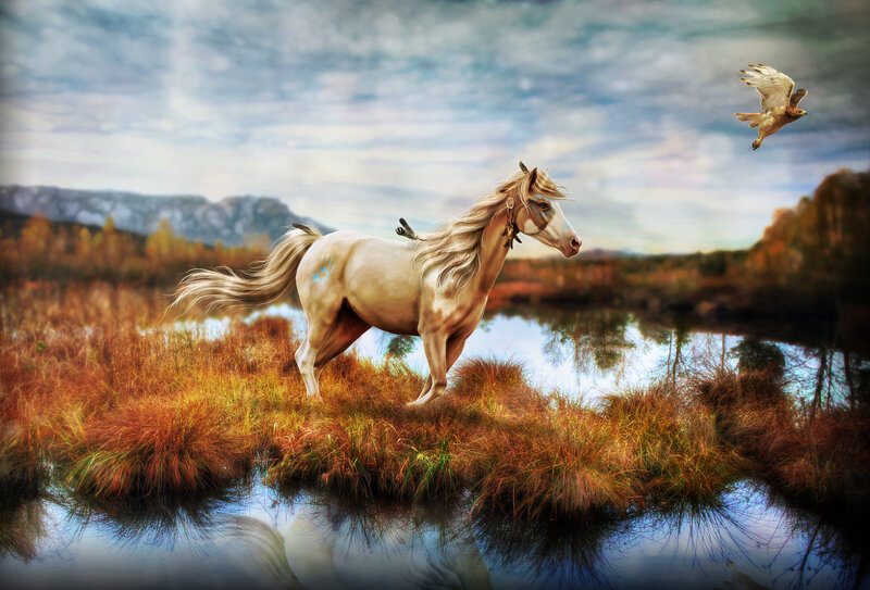 White Horse in Marsh