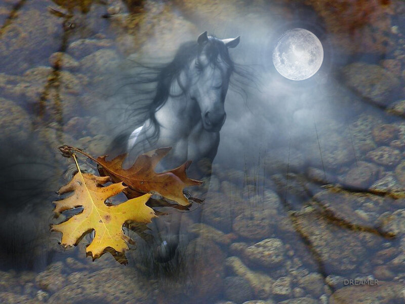 White horse in moonlit stream