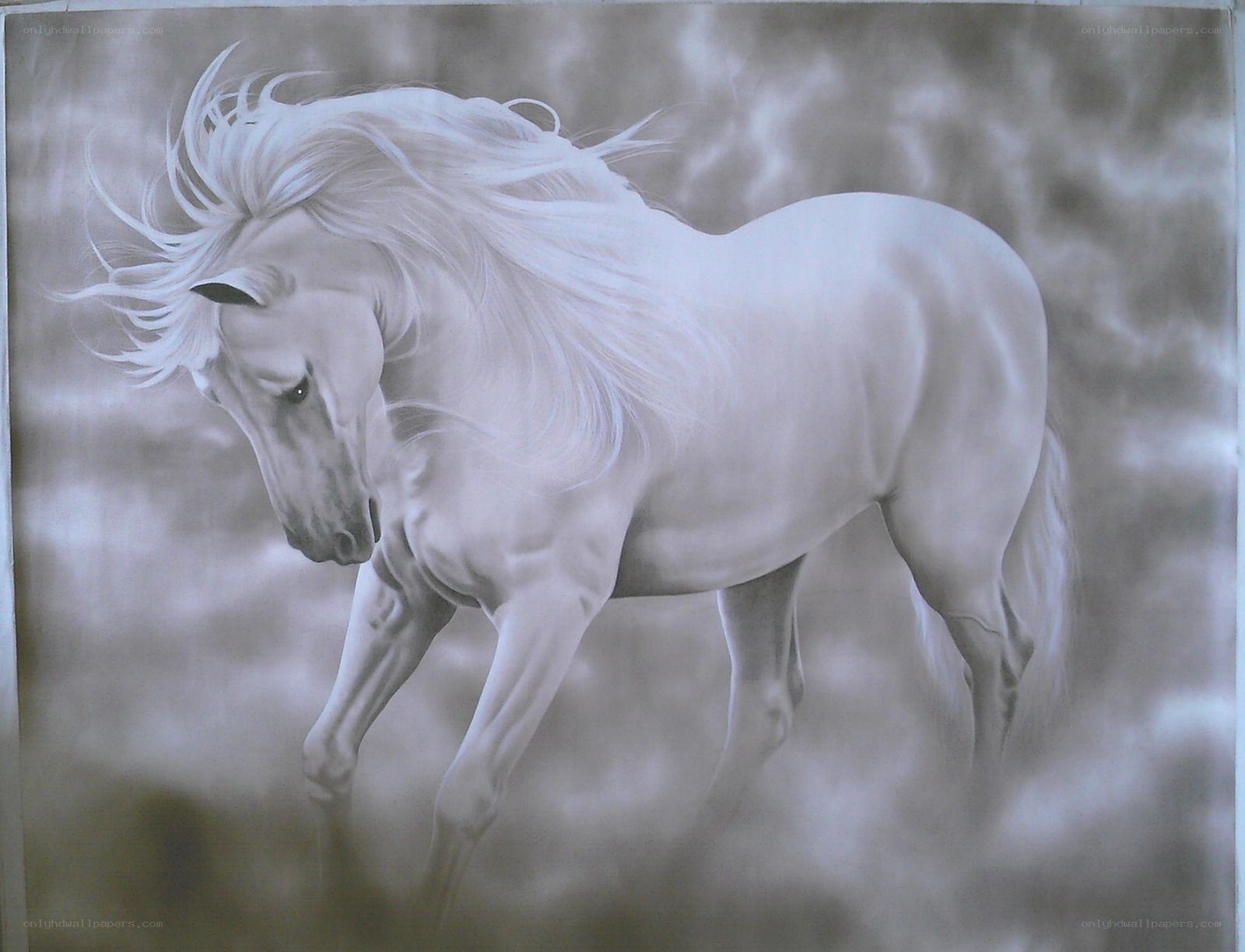 White horse in motion