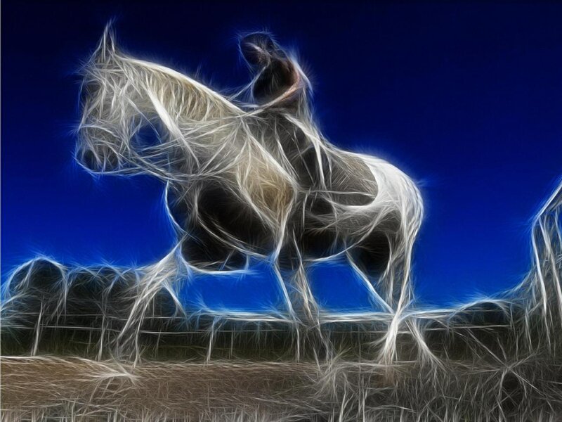 White Horse in Motion — Blue, Dramatic
