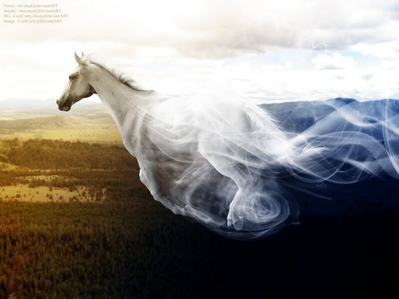 White Horse in Motion — Dramatic, Afternoon
