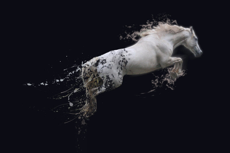 White Horse in Motion — Dramatic, Digital Art