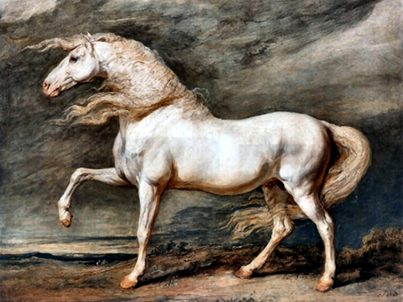 White Horse in Motion — Dramatic, Painting