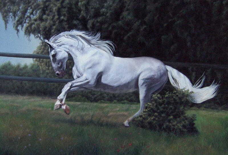 White Horse in Motion — Dynamic