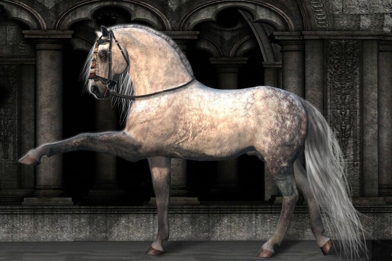 White Horse in Motion — Gray