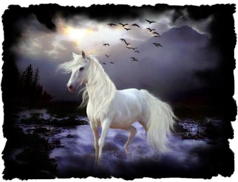 White horse in mystical landscape