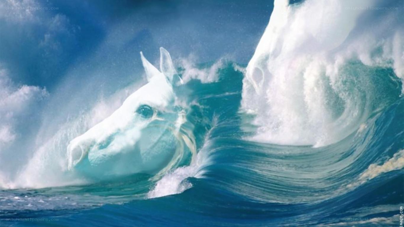 white horse in ocean wave