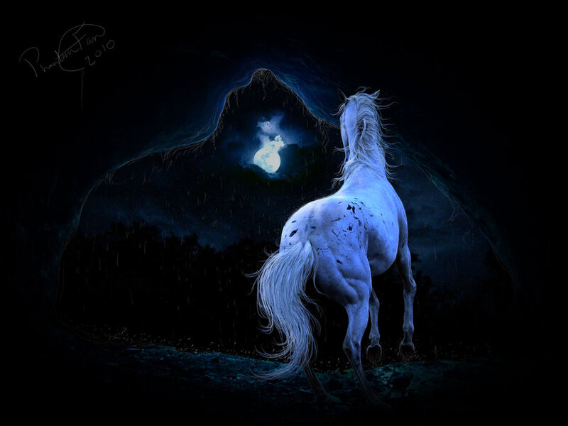 White Horse in Rain — Blue
