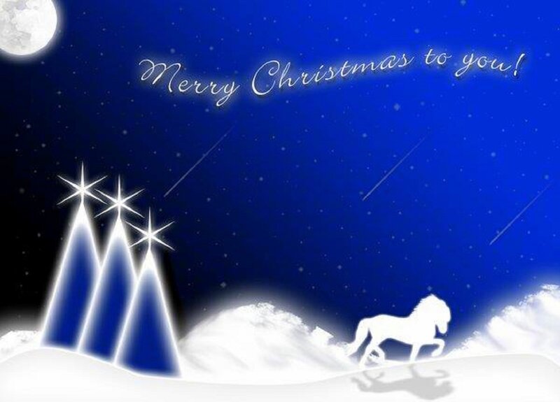 White Horse in Snow — Blue