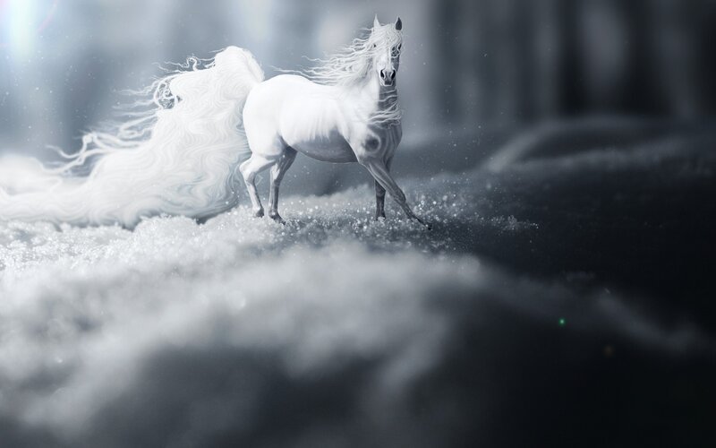 White Horse in Snow — Dramatic