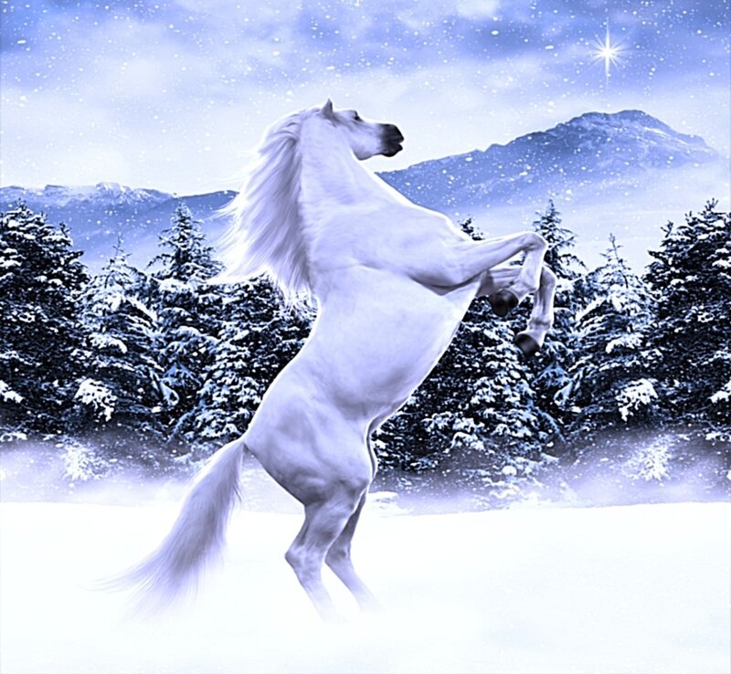 White horse in snowy landscape