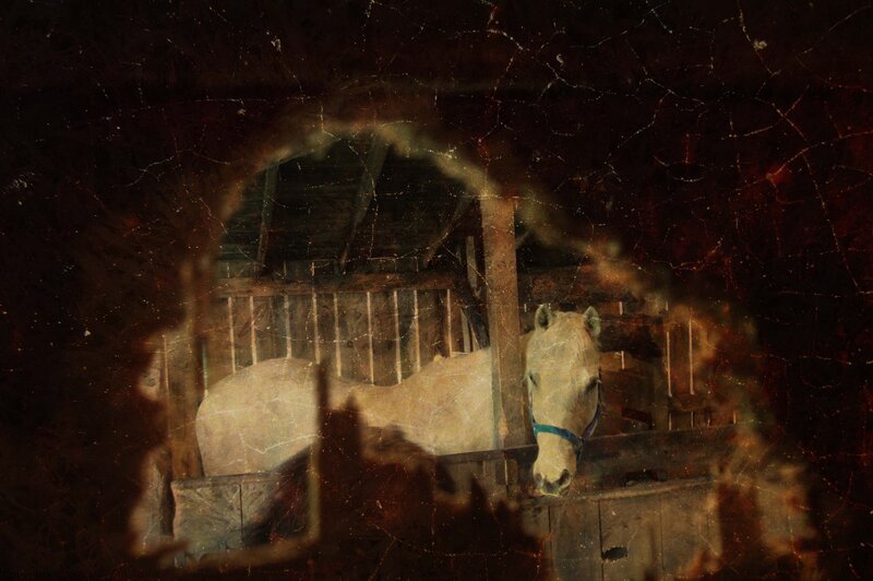 White Horse in Stable — Brown, Dramatic