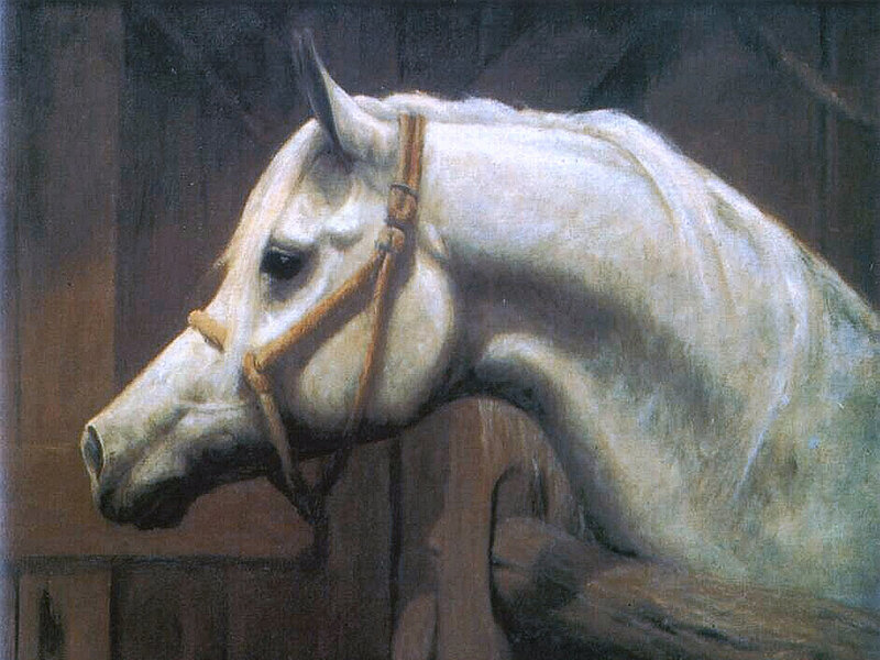 White Horse in Stable — Calm, Painting