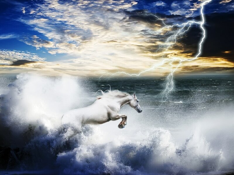 White horse in stormy sea