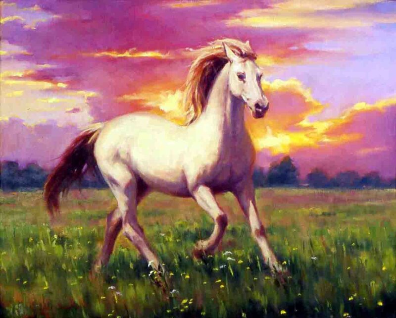 White horse in sunset field