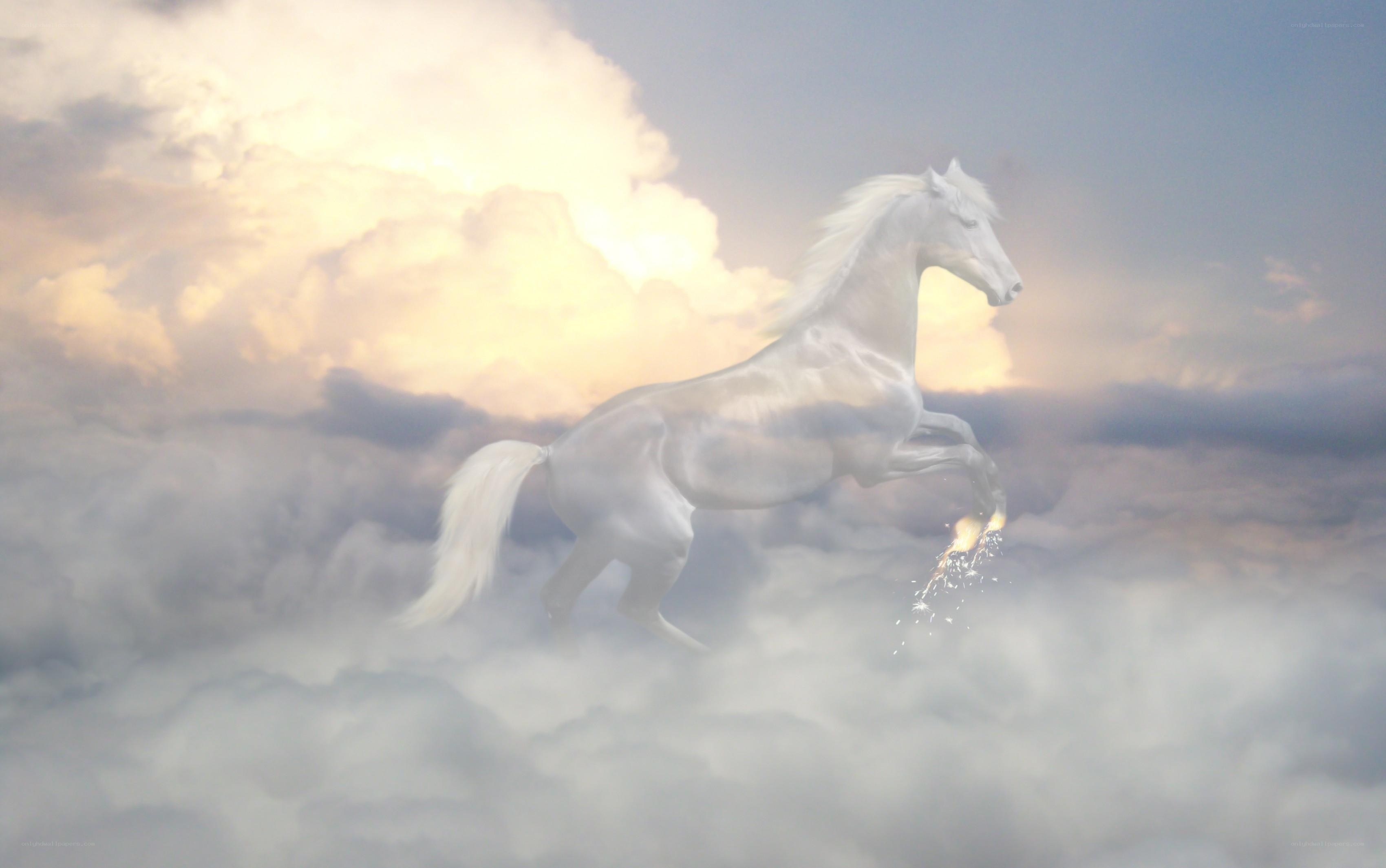 White horse in the clouds