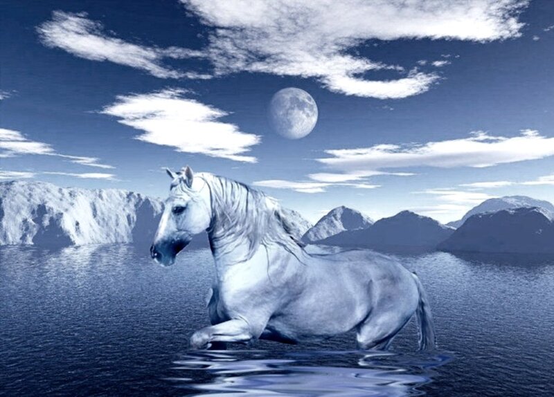 White Horse in Water — Blue, Serene